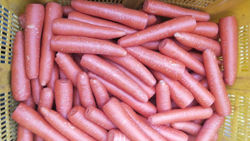 生鲜配送"QQ截图20200608101004.jpg"/