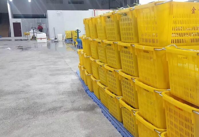 生鲜配送"QQ截图20200611102151.jpg"/